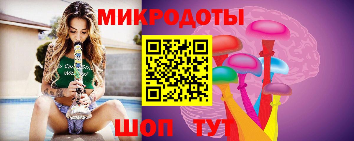 Псилоцибиновые грибы Psilocybe Кубинка