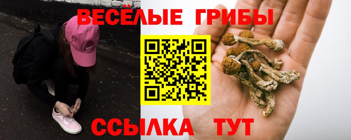 Кубинка  Галлюциногенные грибы мухоморы  Псилоцибиновые грибы Psilocybine cubensis  Вход с VPN 
